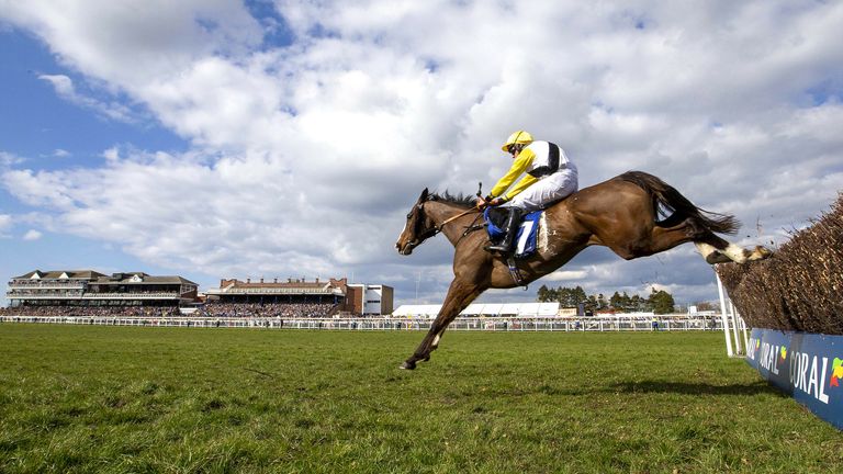 WIn My Wings clears the last in the Scottish National at Ayr