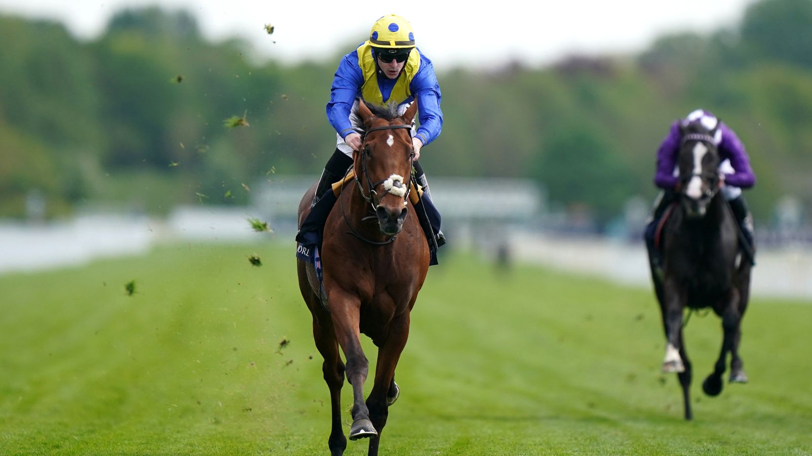 Sir Michael Stoute applies finishing touches to Desert Crown’s Derby prep