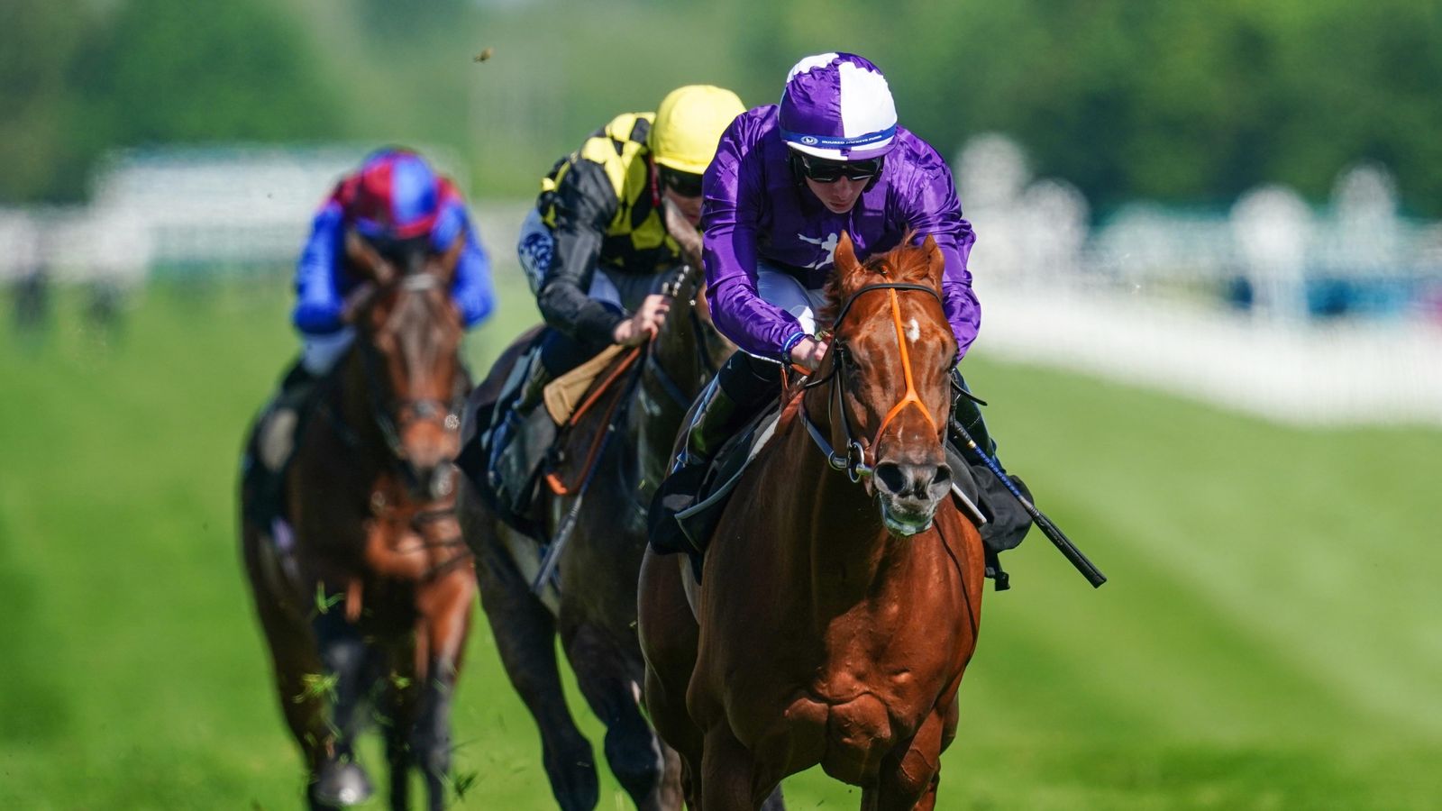 Royal Ascot tips: Simon Rowlands taking on King’s Stand top two and Coroebus in St James’s Palace Stakes