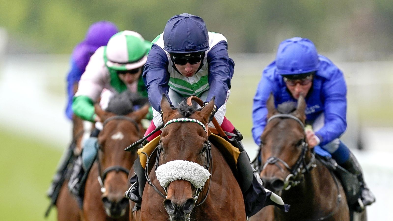 Today On Sky Sports Racing Lingfield Windsor And Wolverhampton Host Today On Sky Sports Racing Lingfield Windsor And Wolverhampton Host