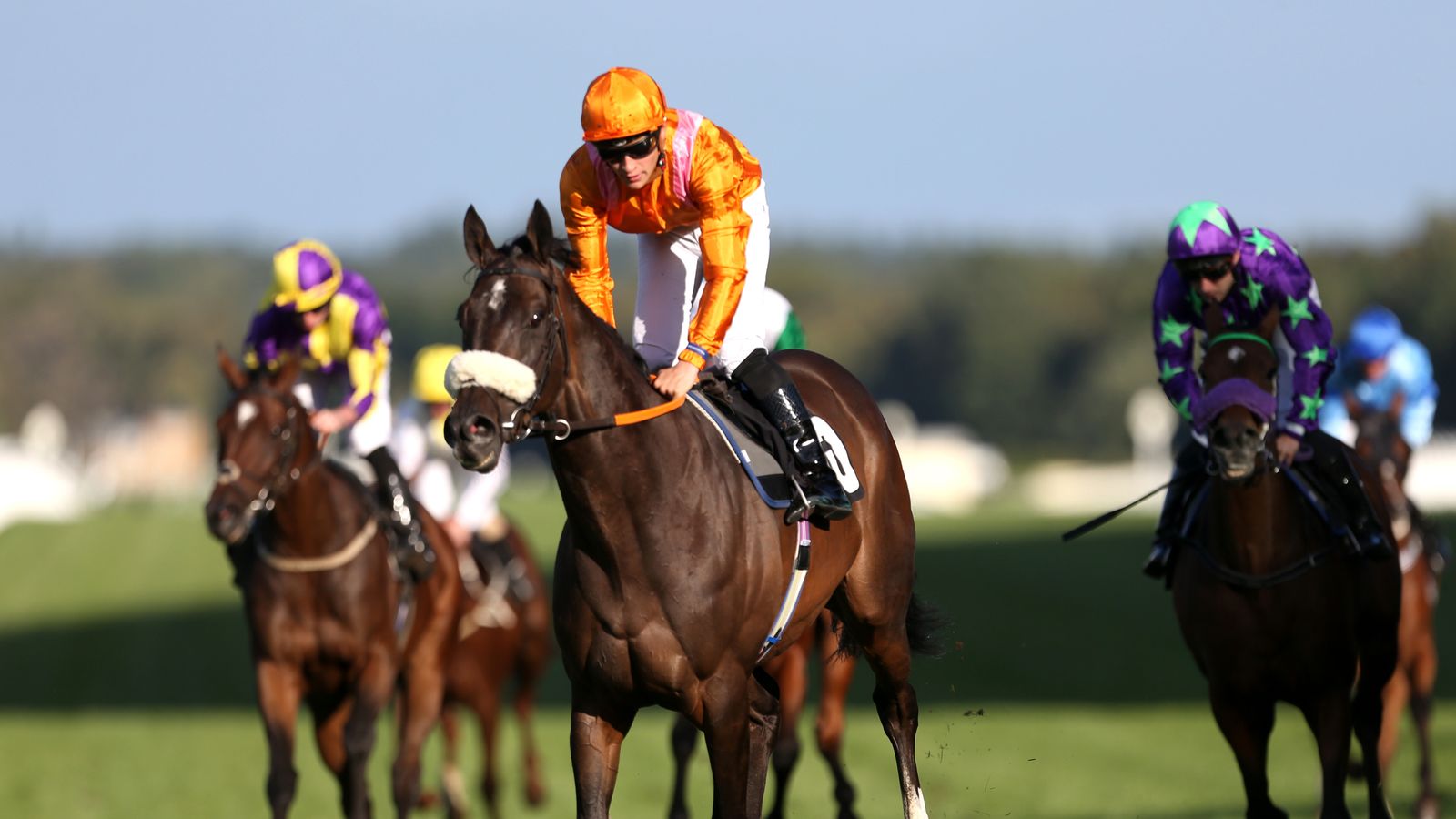 Northumberland Plate: Matt Chapman gives his five to follow at Newcastle’s premier race meeting