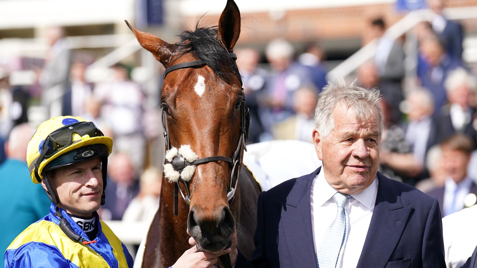King George: Derby hero Desert Crown ‘won’t be going’ to Ascot, trainer Sir Michael Stoute confirms, after ‘niggle’