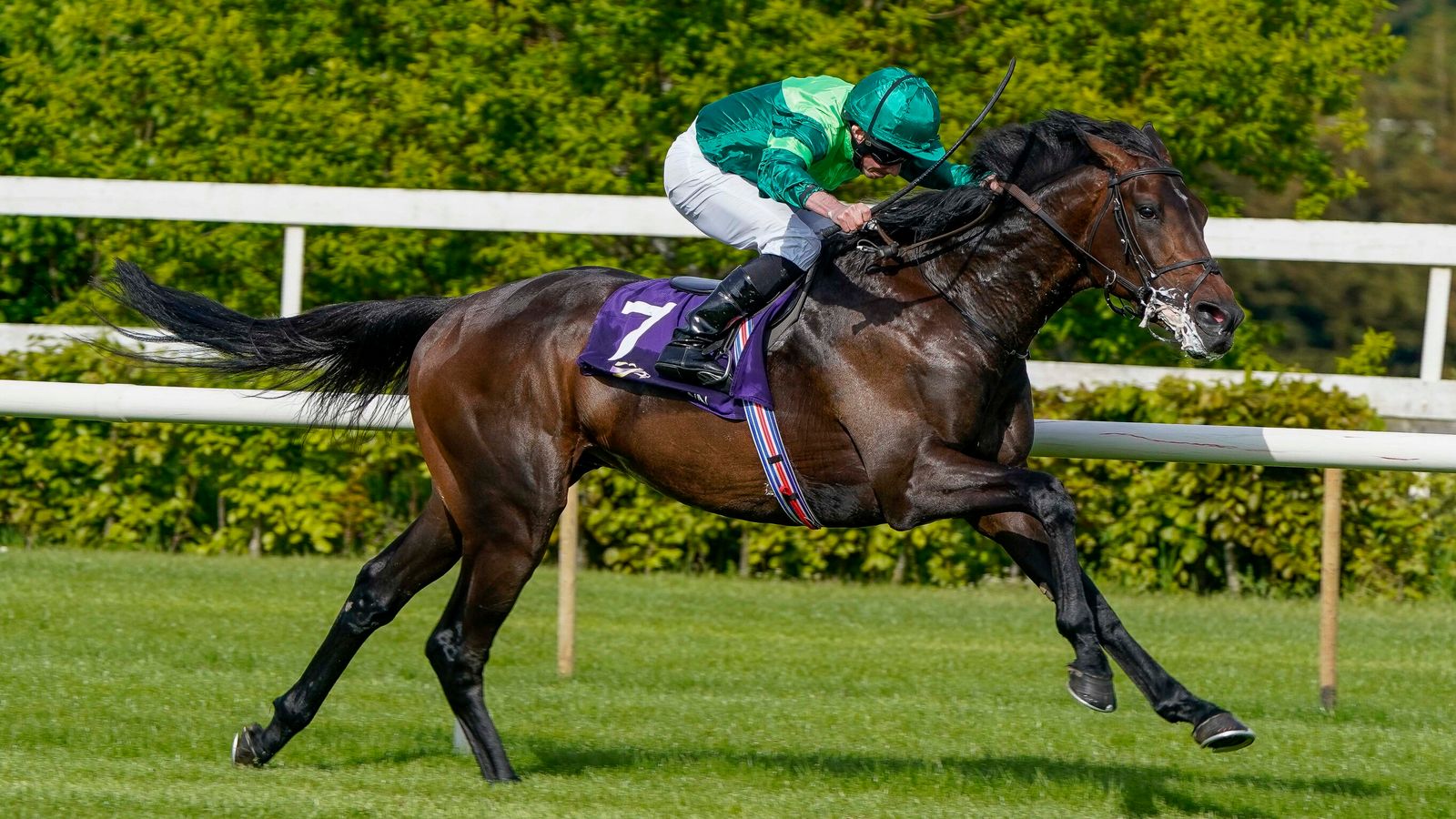 Today on Sky Sports Racing: Shergar Cup headlines stellar Saturday at Ascot as Frankie Dettori captains Team Europe