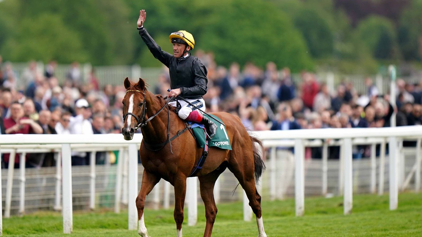 Goodwood Cup: John Gosden not ruling out Stradivarius continuing to race after potential swansong