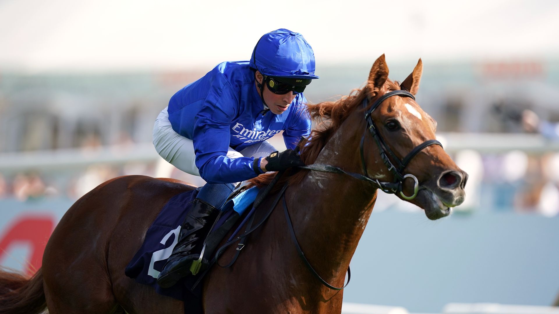 Modern Games set to spearhead Appleby's Breeders' Cup squad