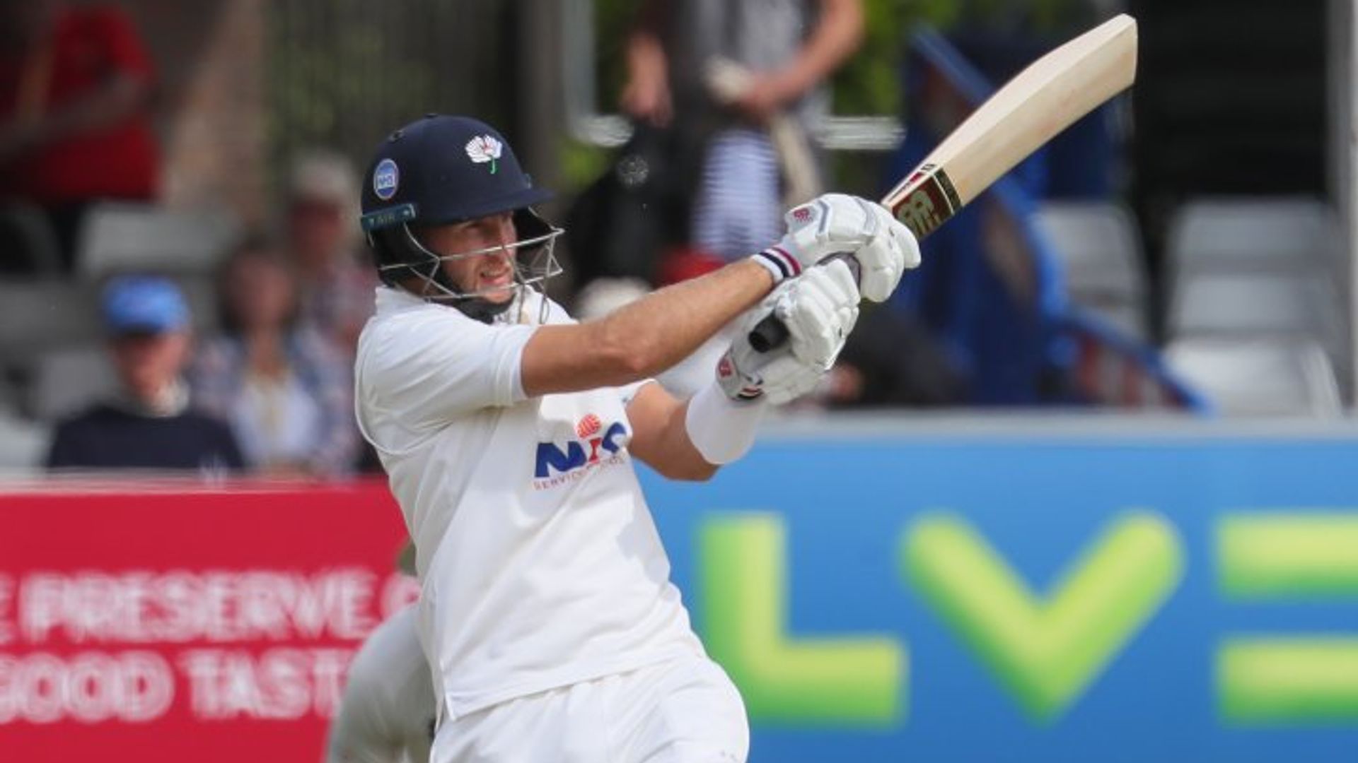 Root hits half-century on return; Surrey ease past Northants