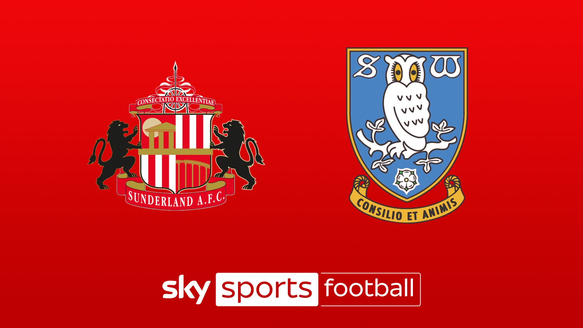 Live on Sky: Sunderland vs Sheff Wed