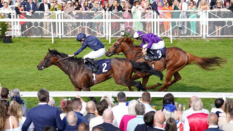 Temple Of Artemis holds of Mr Alan to win at Chester's May Festival