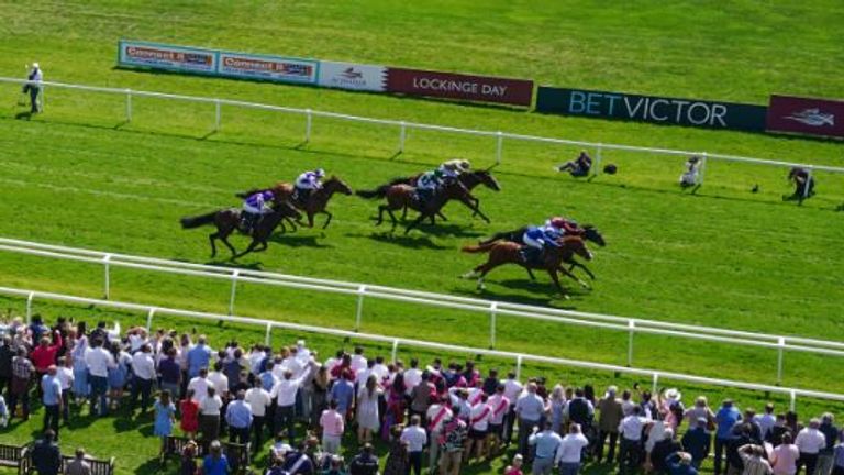 Tiber Flow and Ehraz battle it out at the line in front of the Newbury crowd on Lockinge day