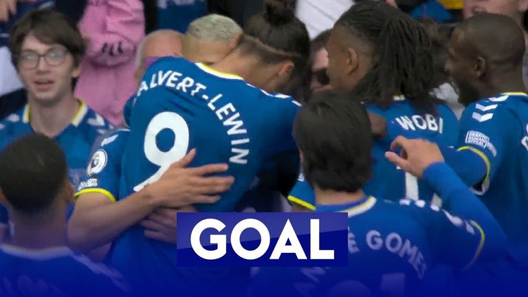 Everton goal