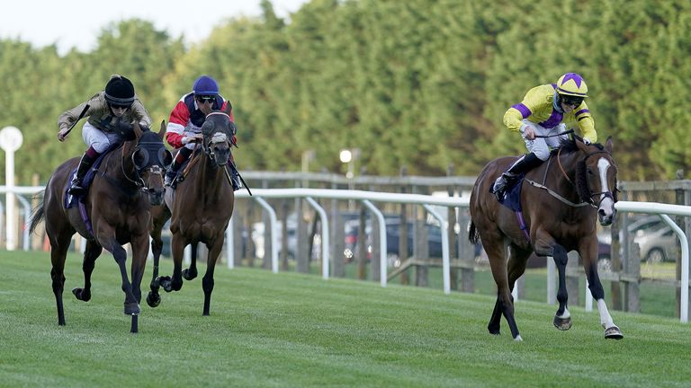 Junoesque wins at Brighton in July last year