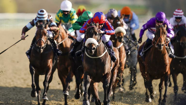 Lord Of The Lodge leads the home on the All-Weather at Lingfield