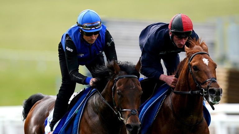 Walk Of Stars and Nahanni work at Epsom ahead of the 2022 Derby