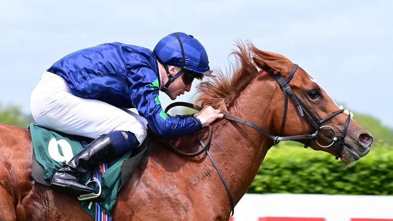 Wadao and Gavin Ryan win for trainer Donnacha O'Brien at Navan