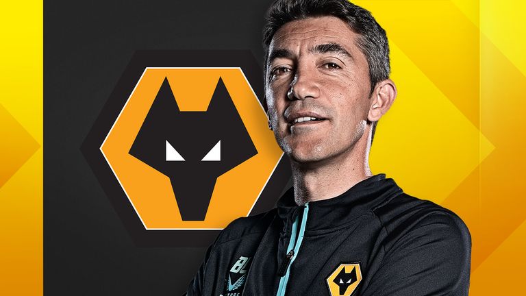 Wolves transfers