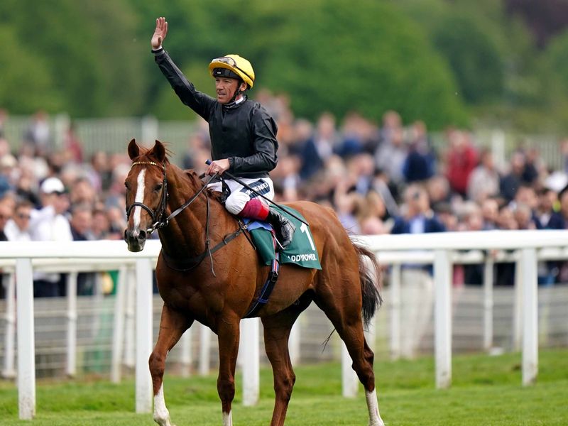 Rab Havlin pays tribute to the great Stradivarius, who has been retired today after an incredible career