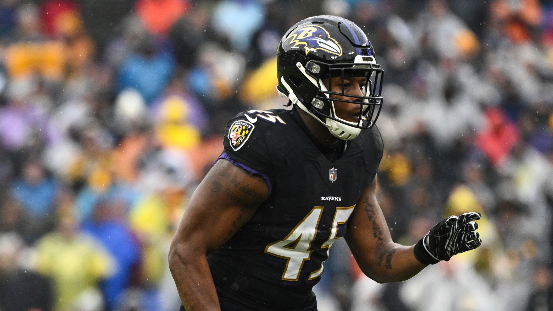 Baltimore Ravens affirm demise of linebacker FergusonSkySports | Information