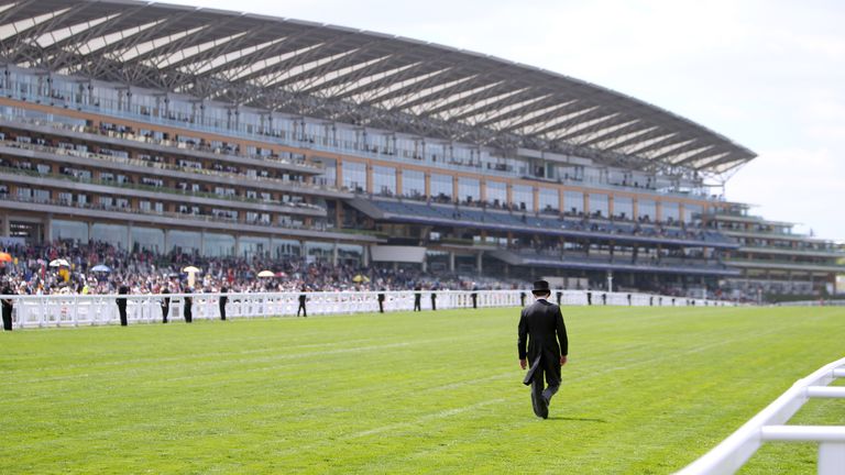 Aidan O'Brien cuts a lonely figure as he inspects the ground at Royal Ascot