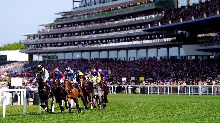 Earlofthecotswolds leads the Ascot Gold Cup field away from the packed grandstand