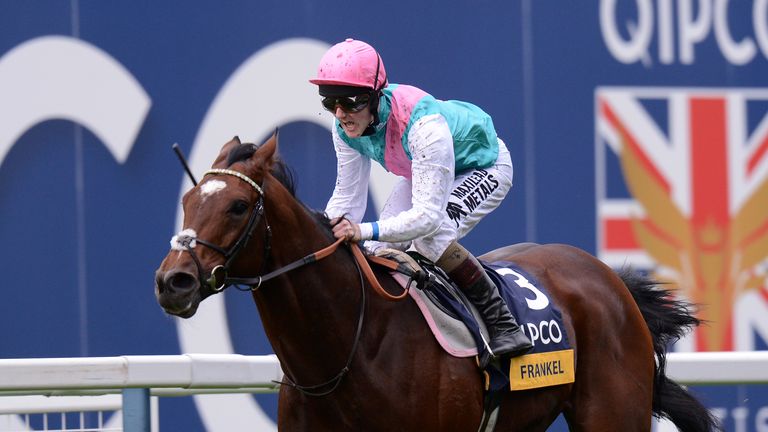 Frankel wins the last of his 14 races with victory in the 2012 Champion Stakes at Ascot