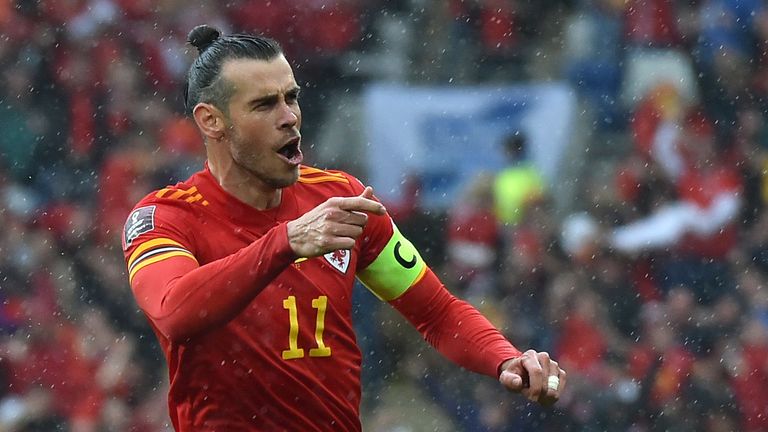 Gareth Bale celebrates his free-kick going in