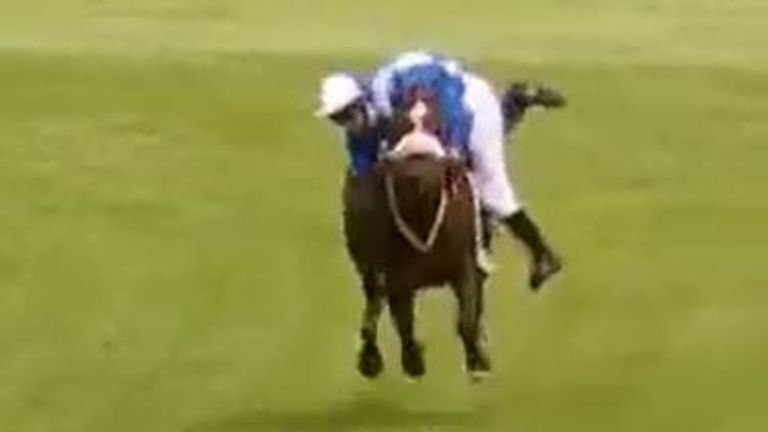 Jockey, Tom Servier falls from his horse after trying desperately to cling on and remount in the Handicap Hurdle in Dieppe.