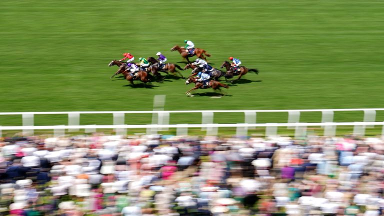 The Ridler (red) hangs across the track ahead of his rivals in the Norfolk Stakes