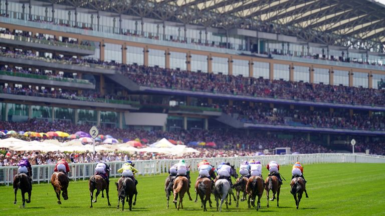 The Albany Stakes field head down to the two furlong pole in front of a packed grandstand at Ascot