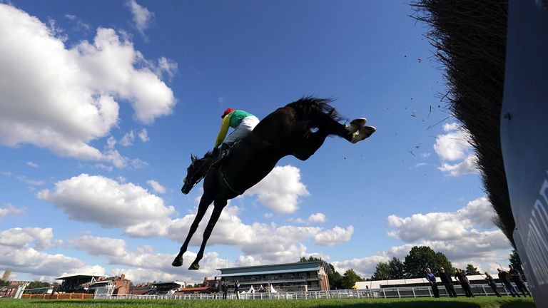 Vision Des Flos in action at Warwick in the colours of his former owners