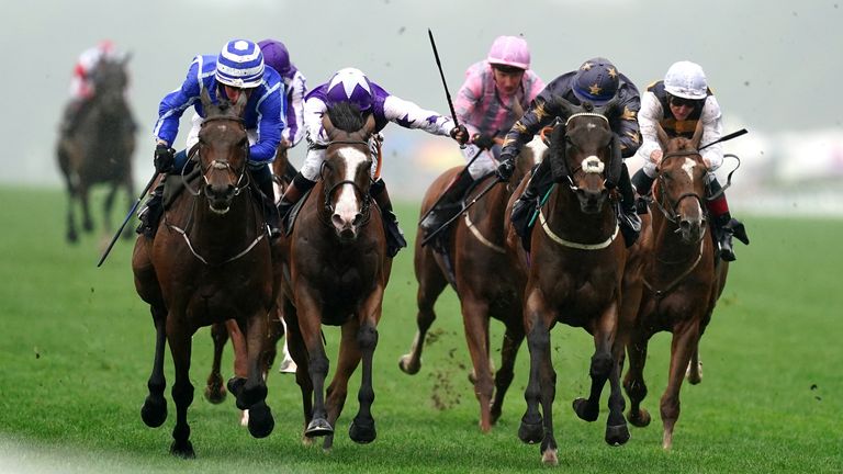 Stratum finishes best of all to take the Queen Alexandra Stakes for William Buick and Willie Mullins.