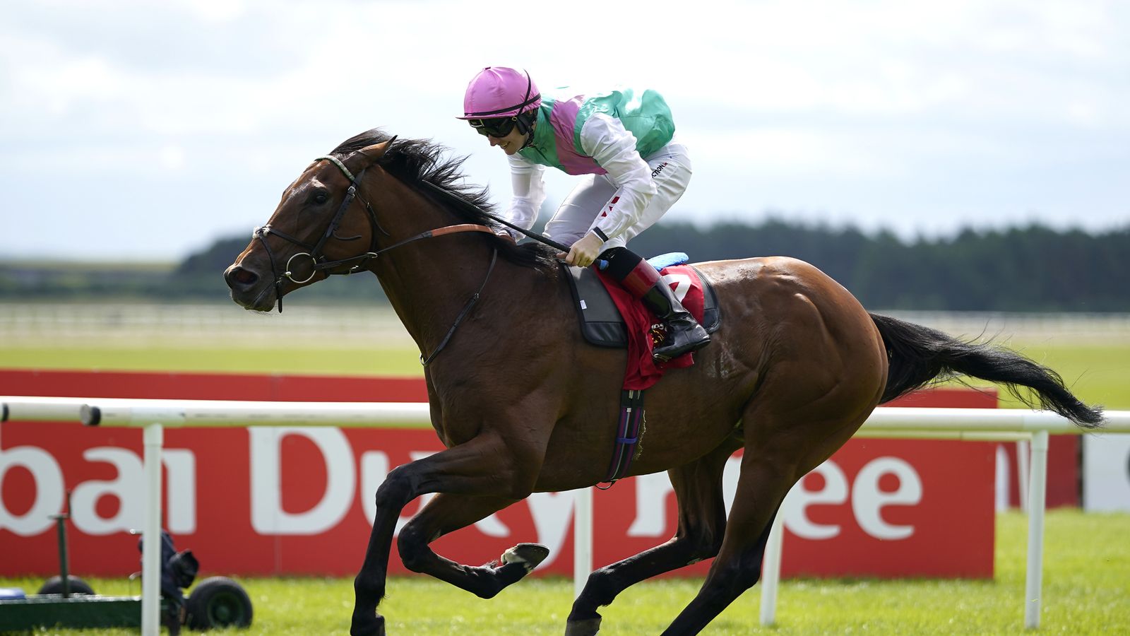 Westover: Irish Derby winner set to return at four for Juddmonte and Ralph Beckett