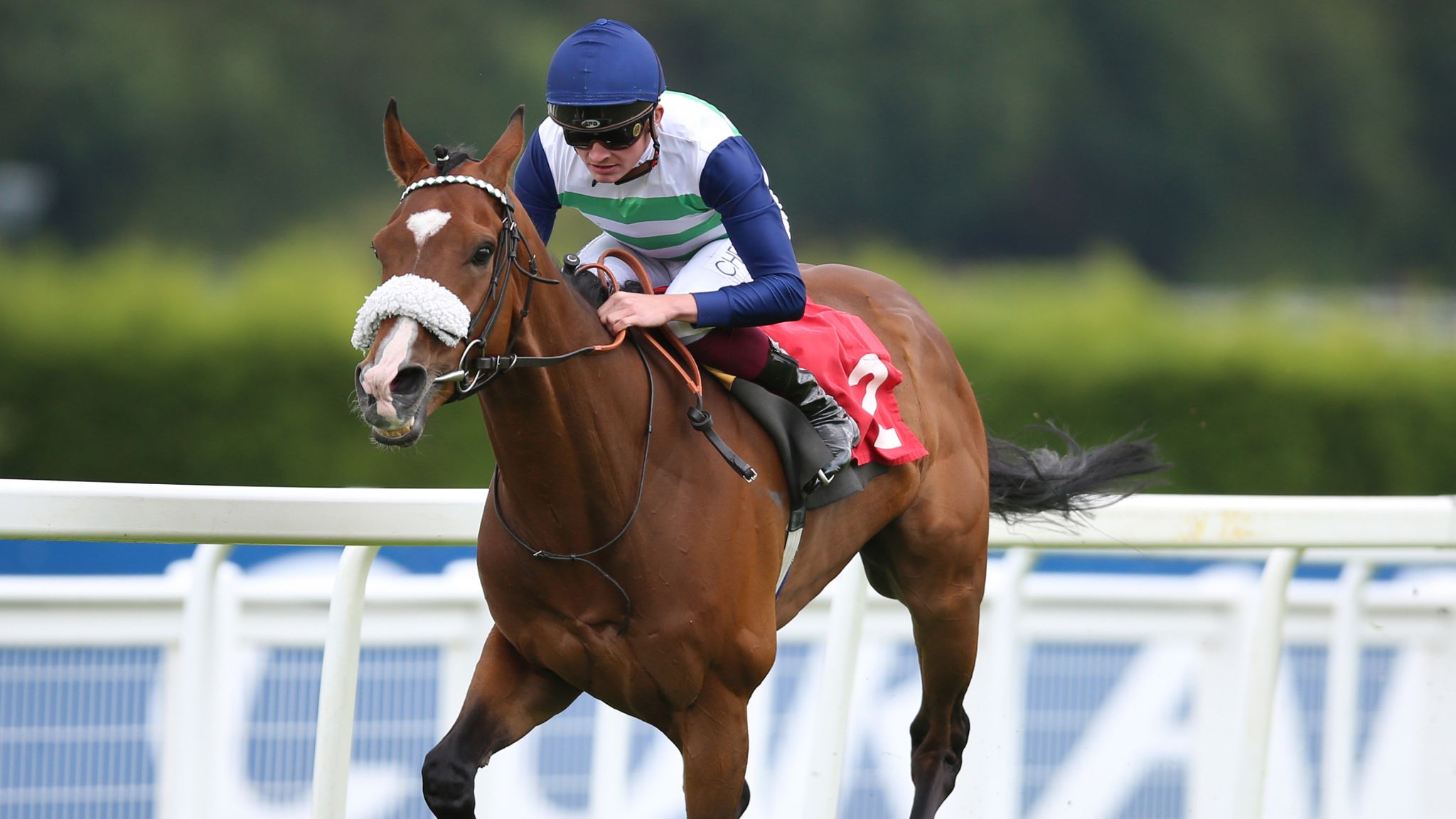 Long Distance Cup: Andrew Balding issues warning for Doncaster winner ...