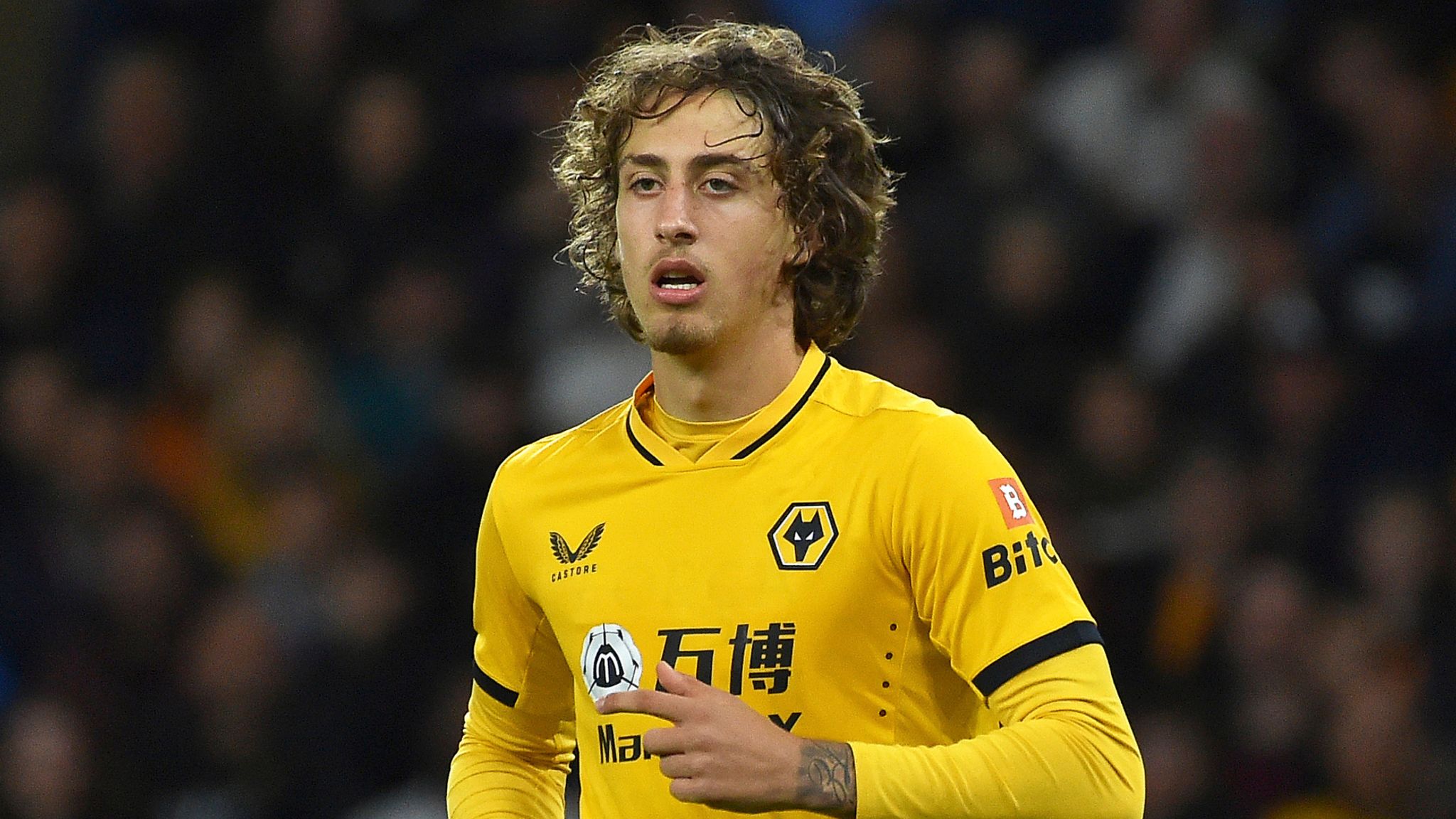 Fabio Silva on loan to Anderlecht: Wolves' record signing is still young  but his time at Molineux has not been easy | Football News | Sky Sports