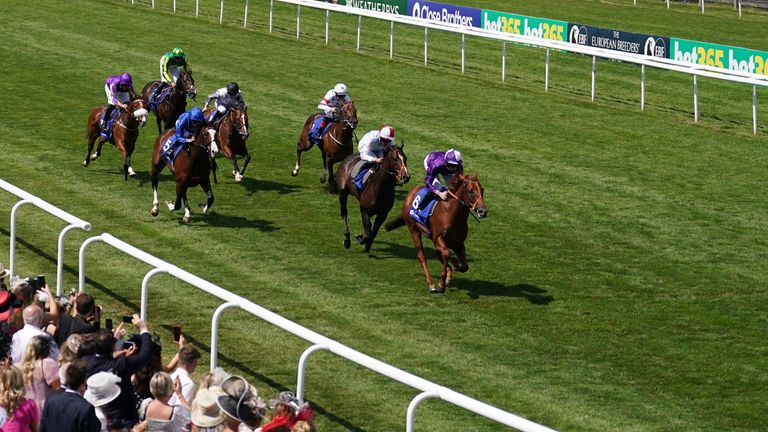 Persian Force ridden by Rossa Ryan 