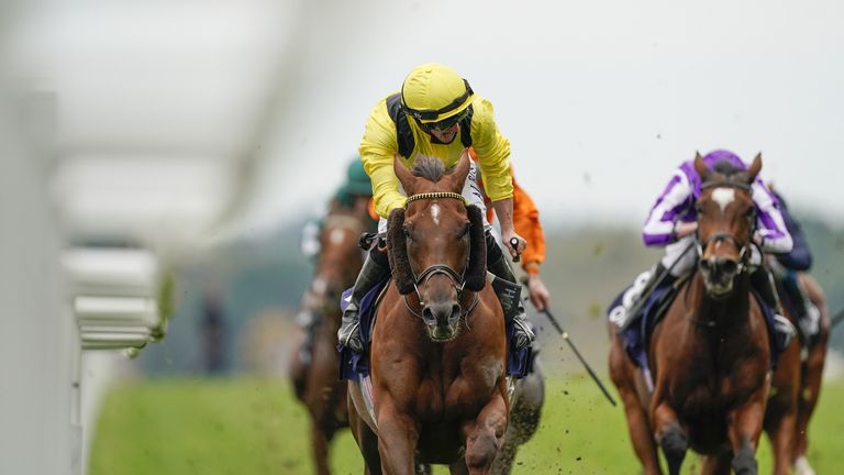 Addeybb's connections pointed to the quick ground at Sandown as the reason for defeat in the Gala Stakes