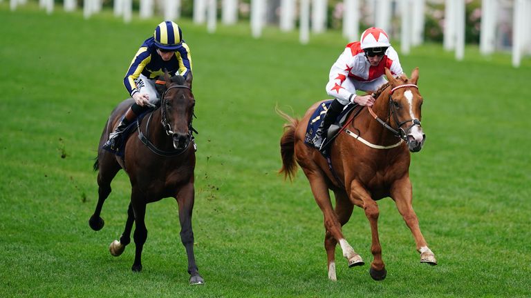 Holloway Boy won the Chesham Stakes at Royal Ascot on his debut.