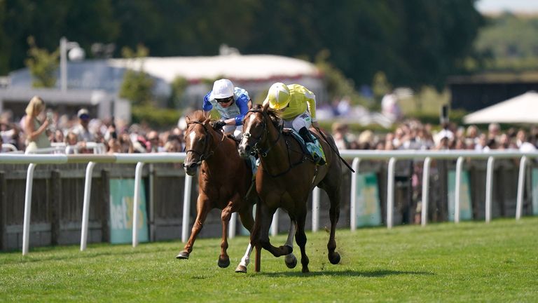 Jimi Hendrix (left) and Positive Impact battle it out at Newmarket's July course