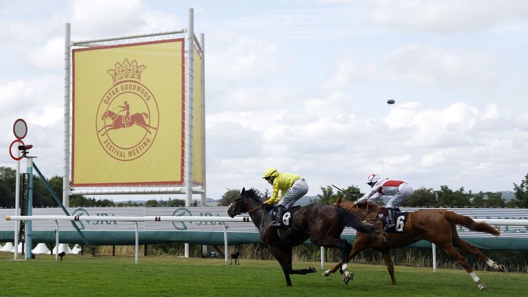Marbaan and Holloway Boy battle it out to the line at Goodwood