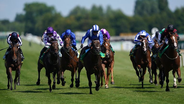 Minzaal (blue and white, centre) beats Go Bears Go (purple, left) at Newbury