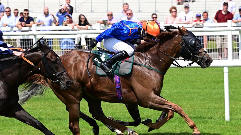 Mr Wagyu sticks his neck to beat Big Gossey at the Curragh