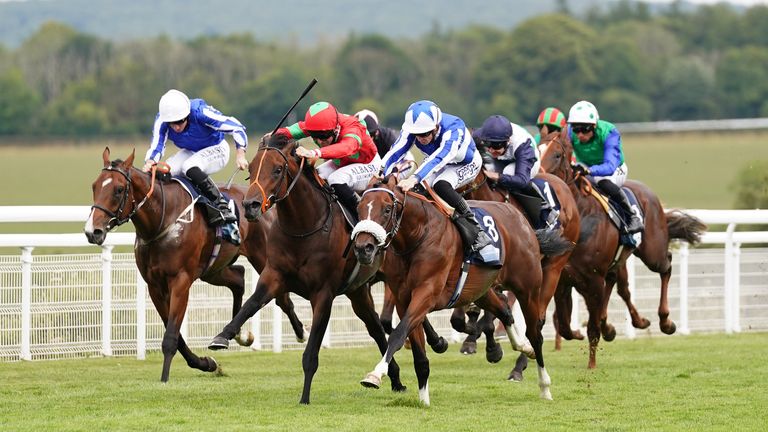 Andrew Balding's The Foxes (near side) beats Classic and Loyal Touch at Goodwood 