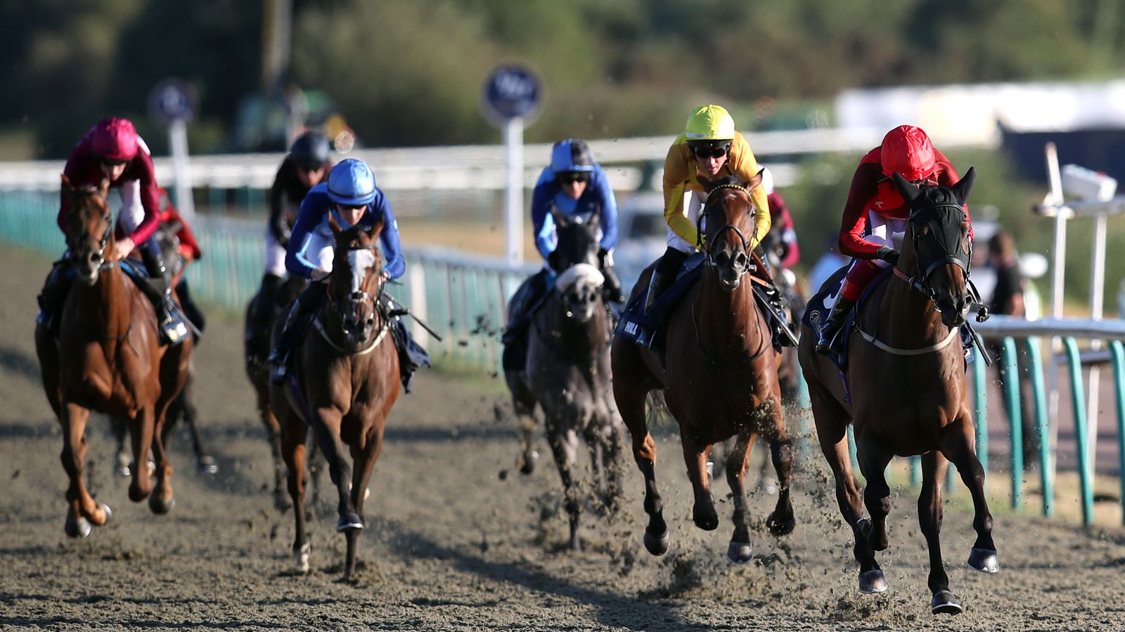 Race of the Day: Hodgson team can strike in Lingfield feature