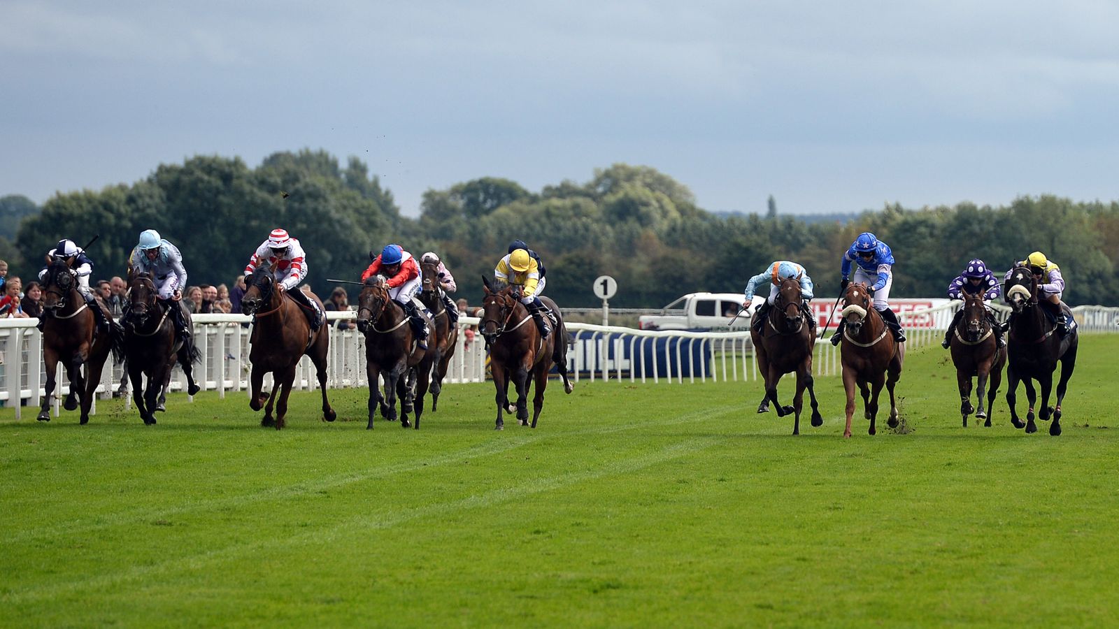 Today On Sky Sports Racing Ripon Specialist Mark s Choice Looking For Today On Sky Sports Racing Ripon Specialist Mark s Choice Looking For