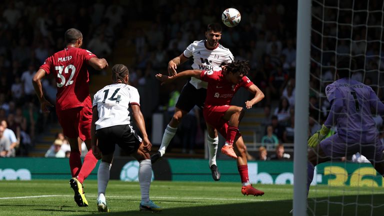 Fulham's Aleksandar Mitrovic puts Fulham ahead (AP)