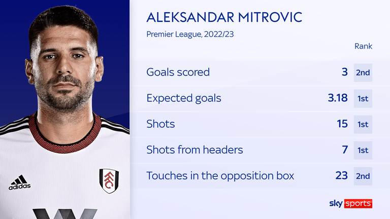 Aleksandar Mitrovic has excelled for Fulham so far this season