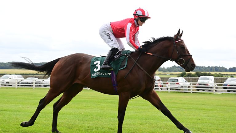 Bradsell and Hollie Doyle head to the start for the Phoenix Stakes at the Curragh
