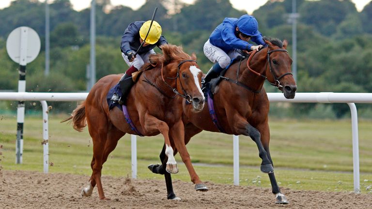 Brilliant Light looks to have an excellent chance on Sunday at Yarmouth, live on Sky Sports Racing