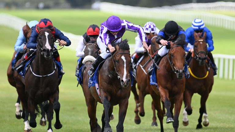 Continuous makes a strong winning debut at the Curragh