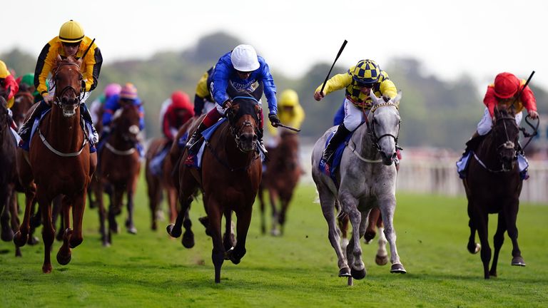 Trawlerman just get the better of Alfred Boucher in a thrilling finish to the Ebor at York