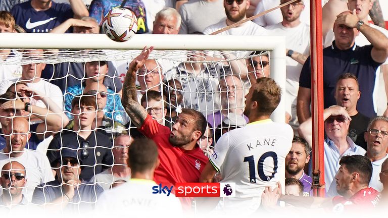 Former Premier League referee Dermot Gallagher believes that it was the right decision for Steve Cook to receive just a yellow card for his handball against Tottenham.